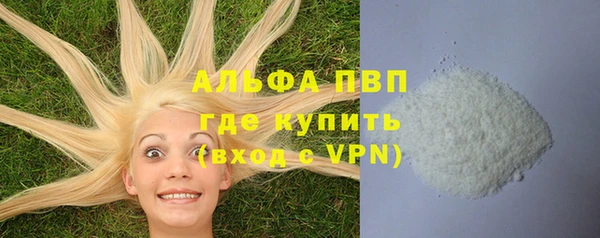 PSILOCYBIN Беломорск