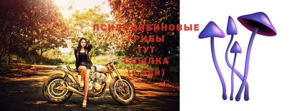 марихуана Белокуриха