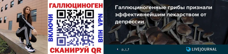 blacksprut зеркало Ковылкино Галлюциногенные грибы мицелий